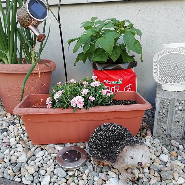 G.Mさんの実例写真