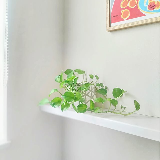 Haさんの部屋