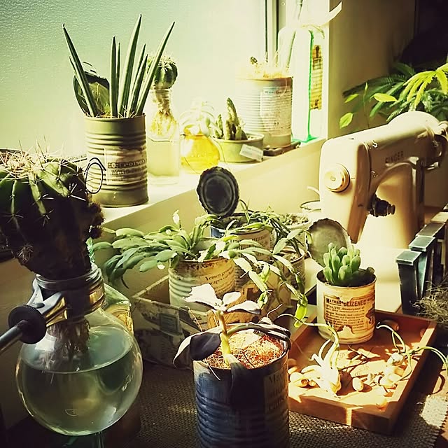 mai.tameさんの実例写真