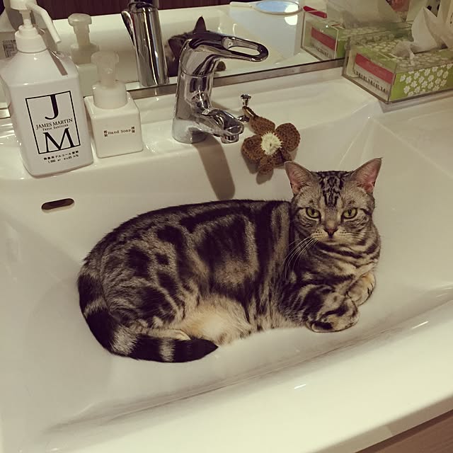 Ryokoさんの実例写真