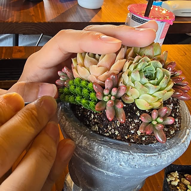 amtさんの実例写真