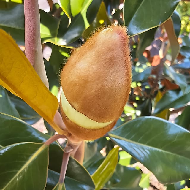 Rubiconさんの部屋
