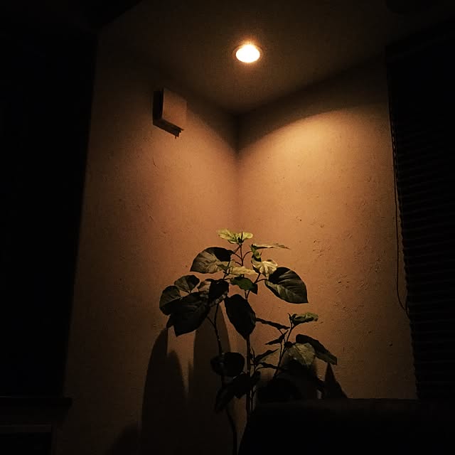 riki88さんの実例写真