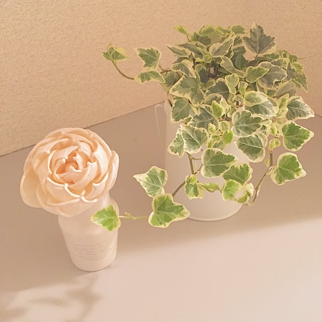 ayanonohoppeさんの実例写真