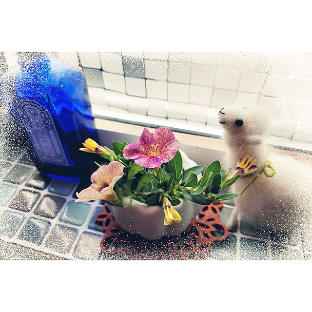 kiraさんの実例写真