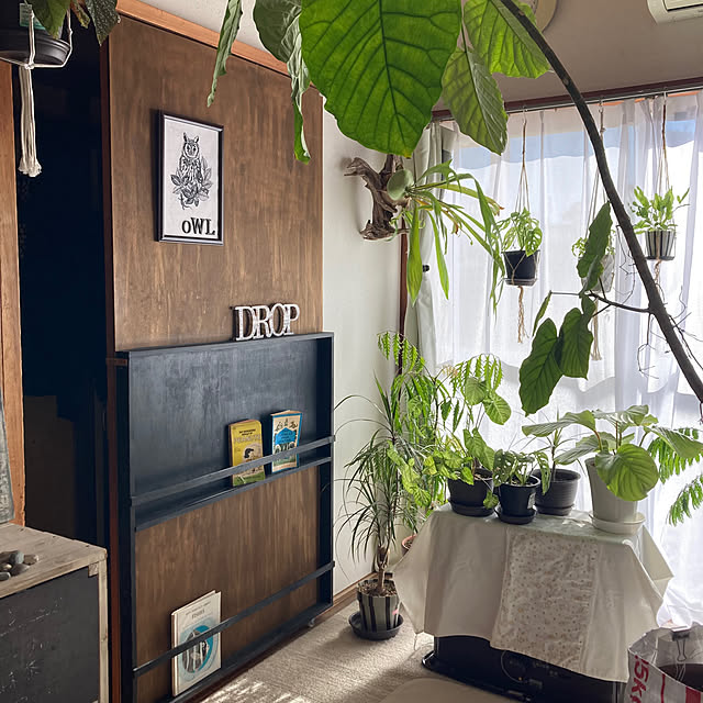 sleeping-dropさんの実例写真