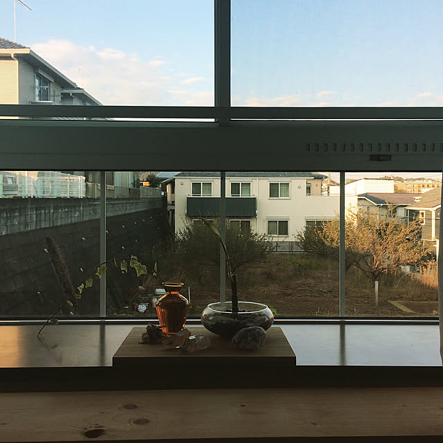 Riekoさんの実例写真