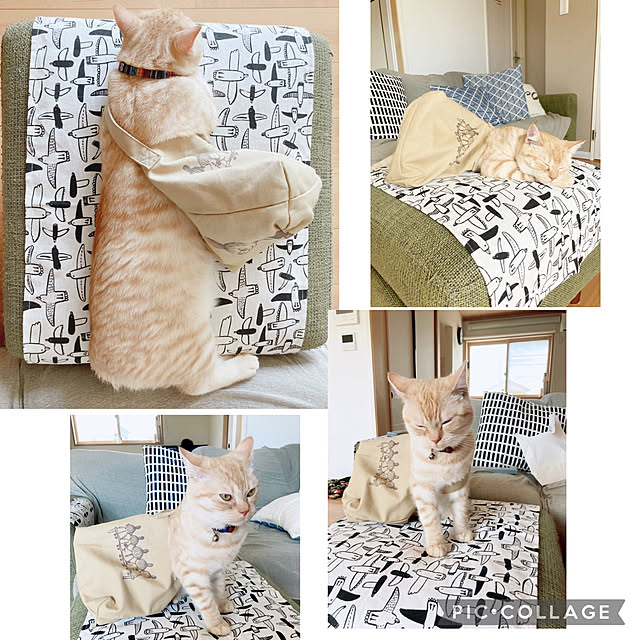 m.k.mさんの実例写真