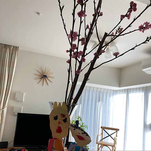ms710さんの実例写真