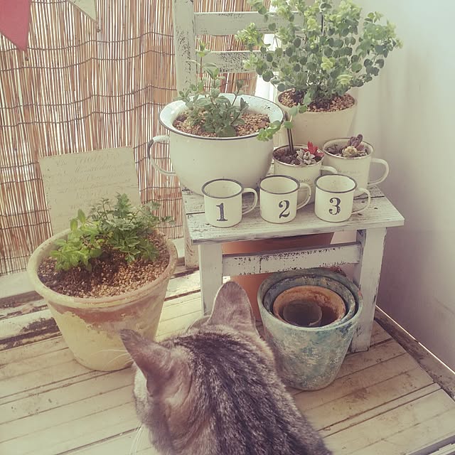 annさんの実例写真