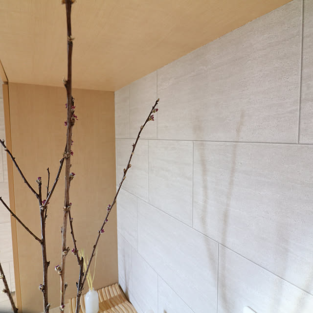 tomoccoさんの部屋