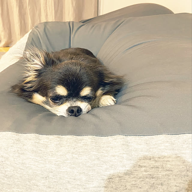 Mikiさんの実例写真