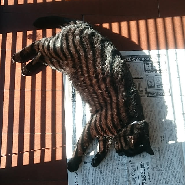 kuroさんの実例写真