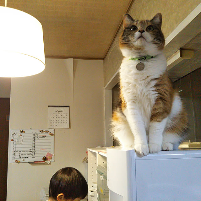 yukieさんの実例写真