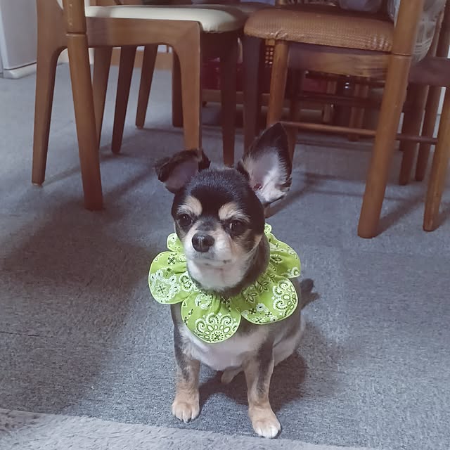 hiro.904さんの実例写真