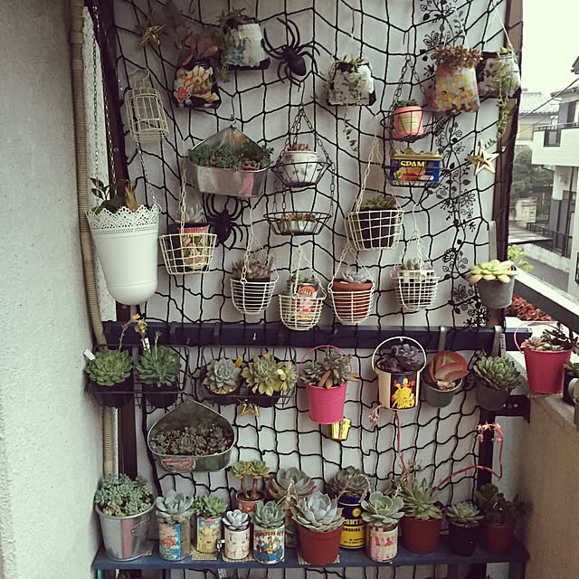NaoLovesMikuさんの実例写真