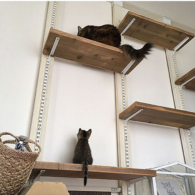 mikomaruさんの実例写真