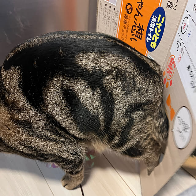 karinさんの部屋
