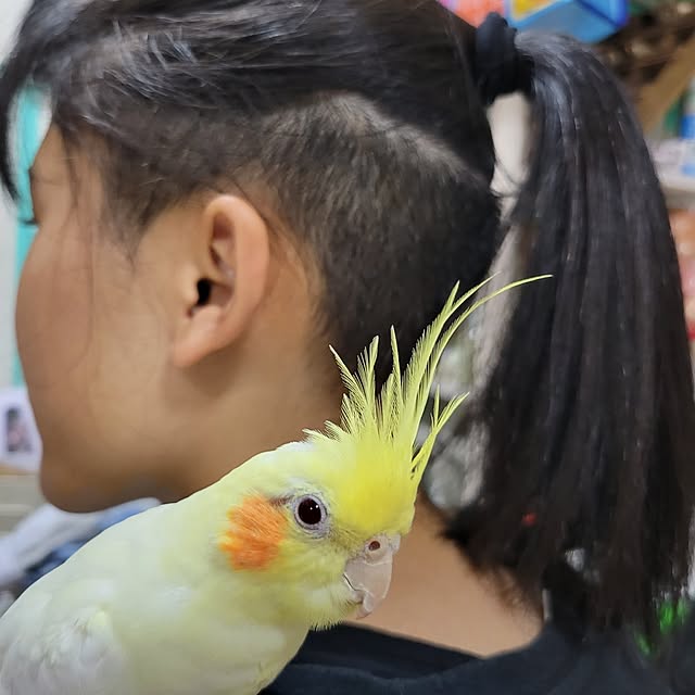 ANTENNAさんの実例写真