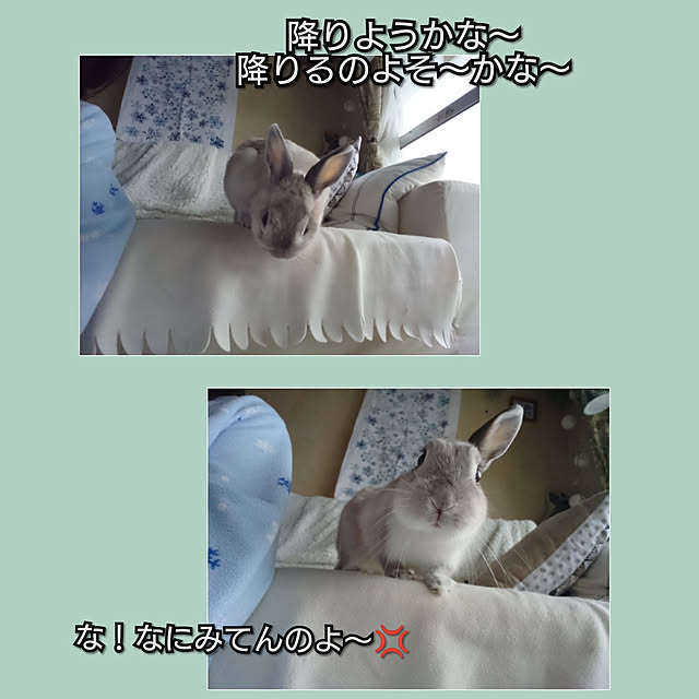 yokomokoさんの実例写真