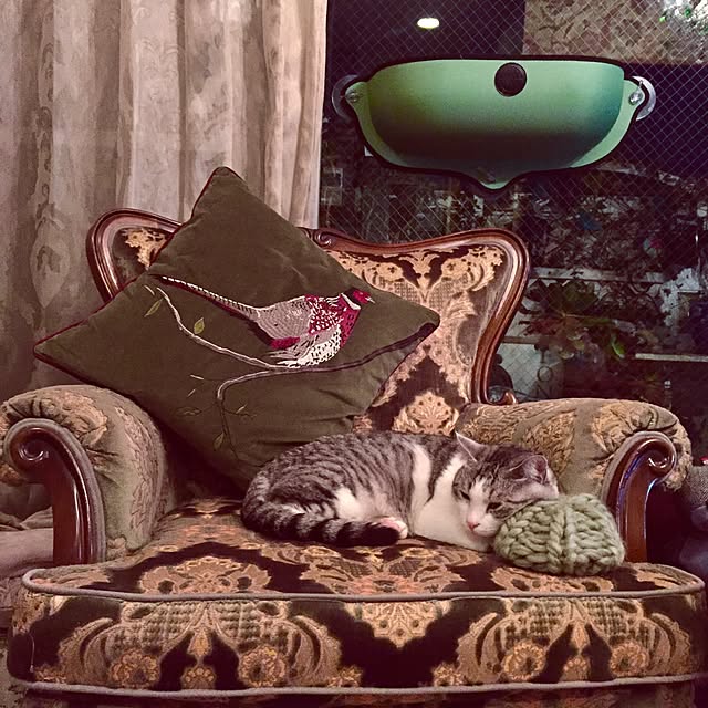 emmyyさんの実例写真