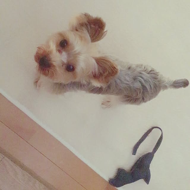 mayuoさんの実例写真