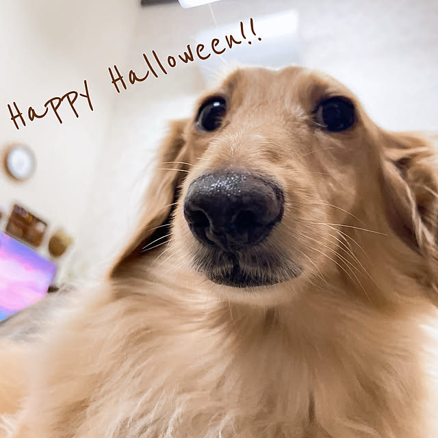 -Riley-mama.-さんの部屋