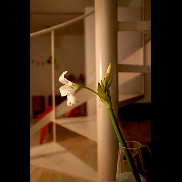 Design papa Ka-tuさんの実例写真