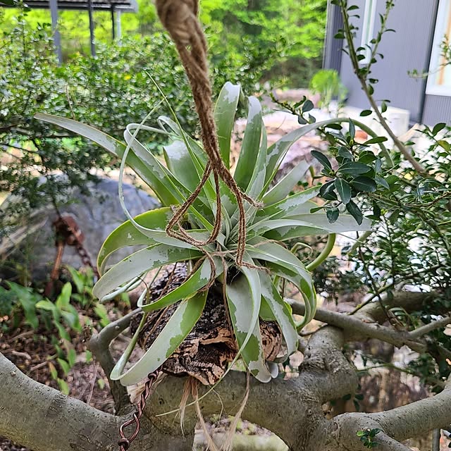 Rubiconさんの部屋