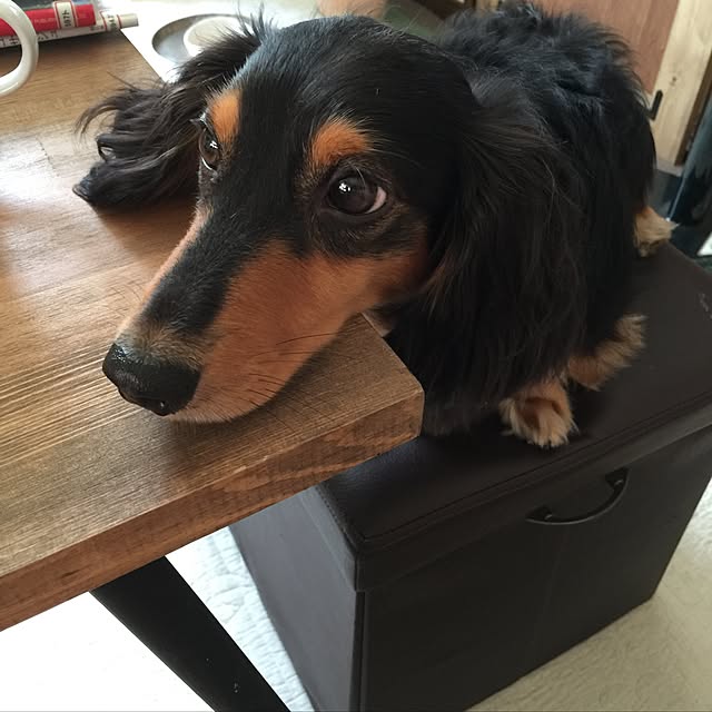 urucotoさんの実例写真
