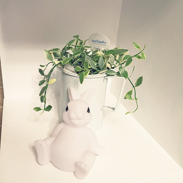 Misatoさんの実例写真