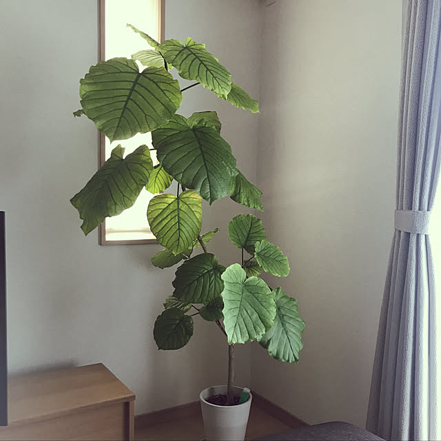 kananaさんの実例写真