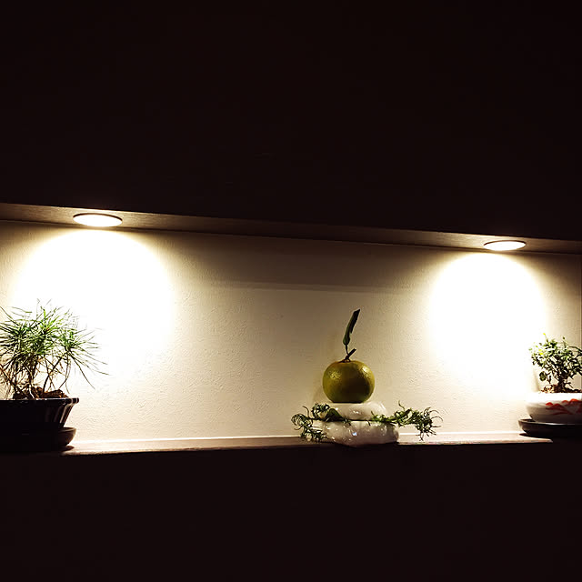 koroさんの実例写真