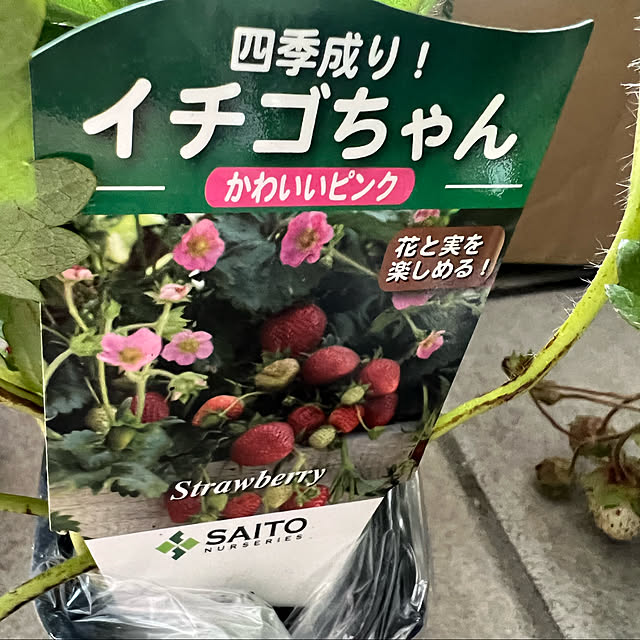 AYUKOさんの実例写真