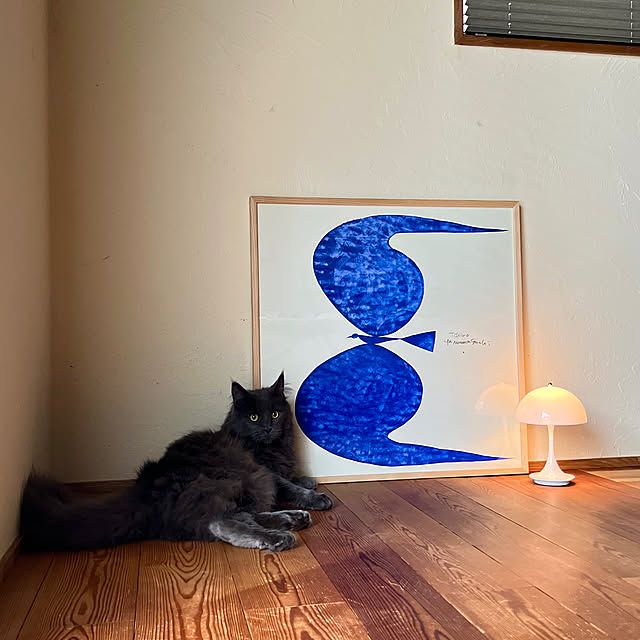 Kikko.さんの部屋