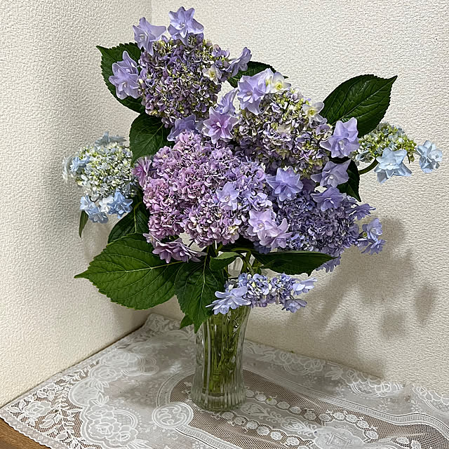 nannoさんの部屋