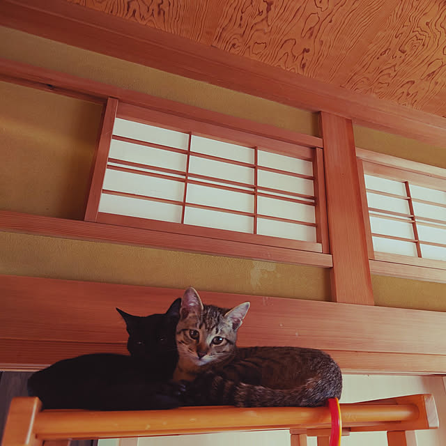 ChaminosukeAさんの実例写真