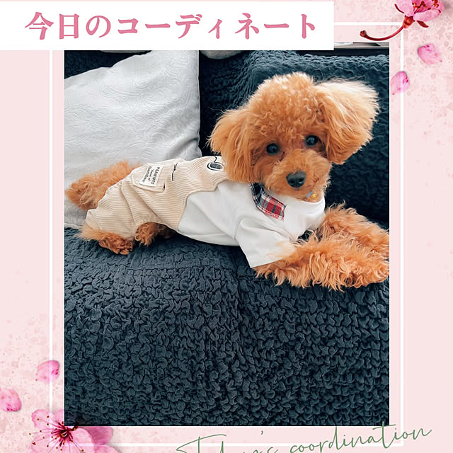 makiさんの実例写真