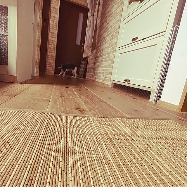 nekosamaさんの部屋