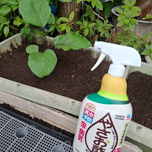 midoriさんの実例写真