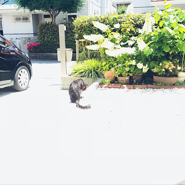 minamiさんの実例写真