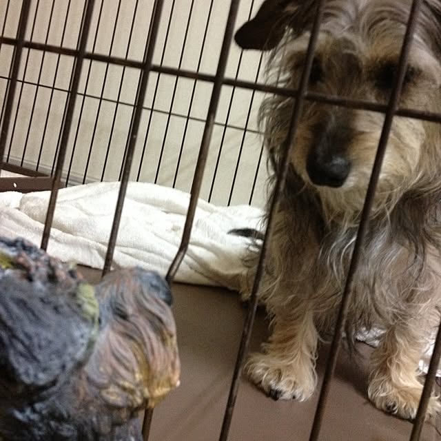 makiさんの実例写真
