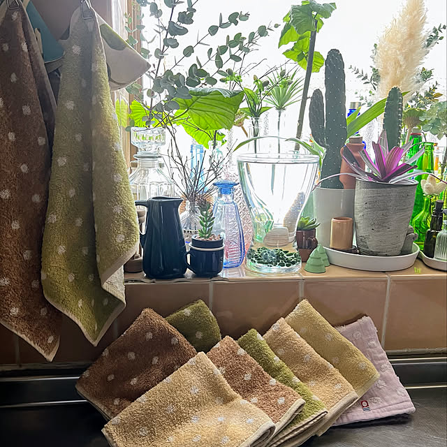 mohhaさんの実例写真