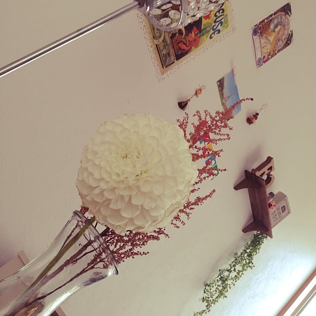 Emiさんの実例写真