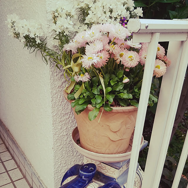 kasuさんの実例写真