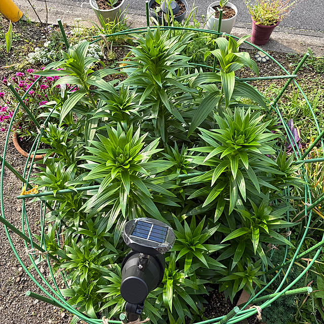 ritsukoさんの部屋