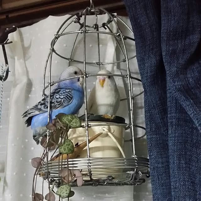 karinさんの実例写真