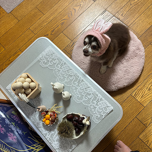 chIoeさんの実例写真