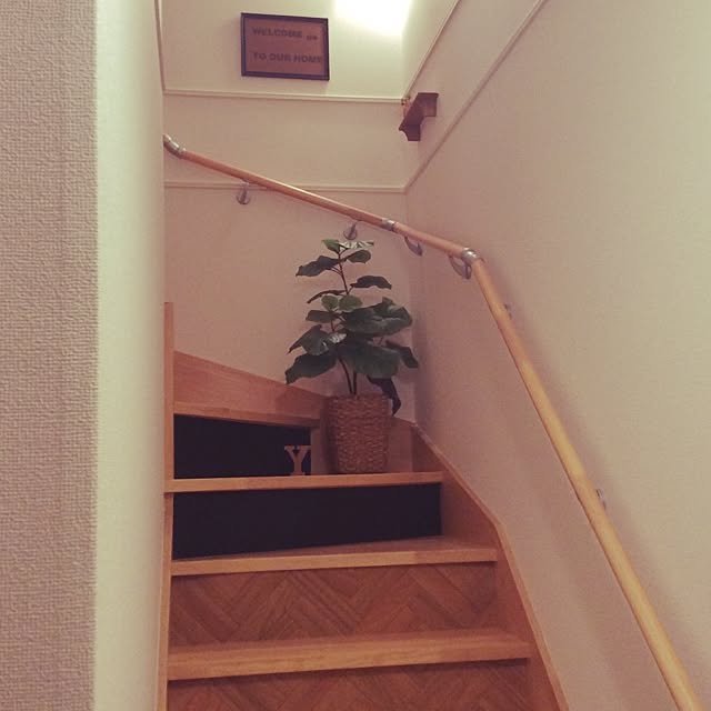 nutsさんの実例写真
