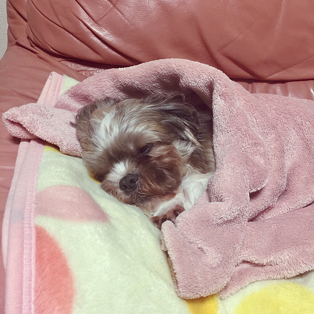 kojiro120513さんの実例写真